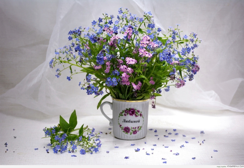 Thay hoa lưu ly tím xanh bằng hoa lưu ly trắng bạn sẽ có ngay bình hoa đẹp