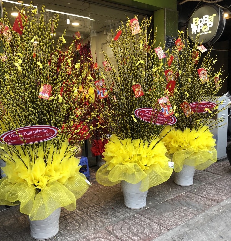 nụ tầm xuân giá sỉ rẻ nhất tại tphcm