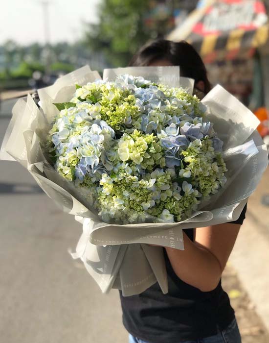 Bó hoa cẩm tú cầu - Niềm vui của em