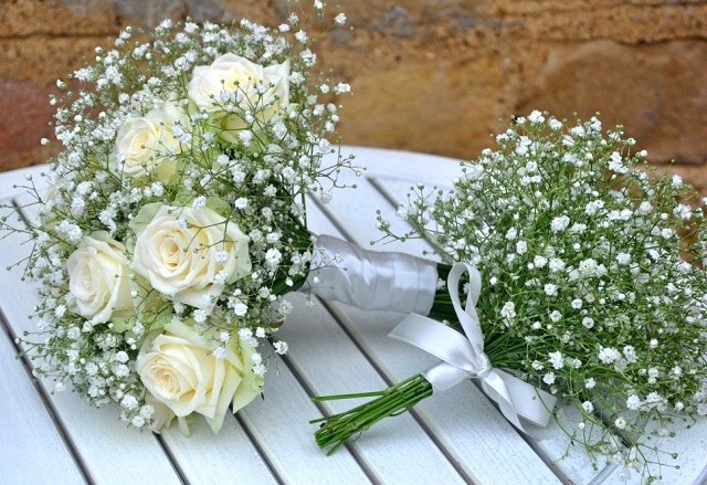 Hoa baby trắng - hoa cưới