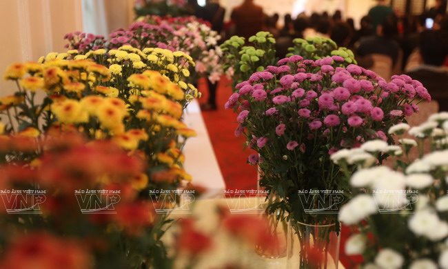 Đặt mua hoa cúc calimero tại Hoa tươi 360