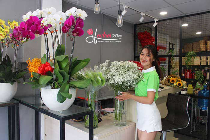 Shop hoa vily - Dịch vụ giao hoa siêu tốc